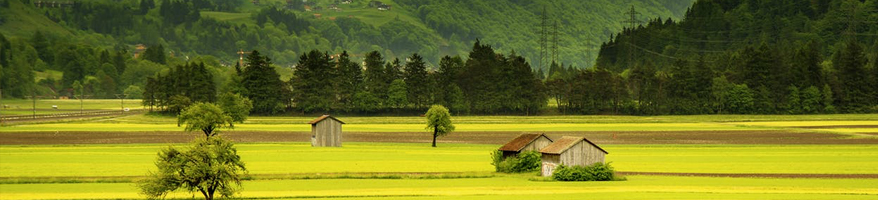 Tiny House & Nature